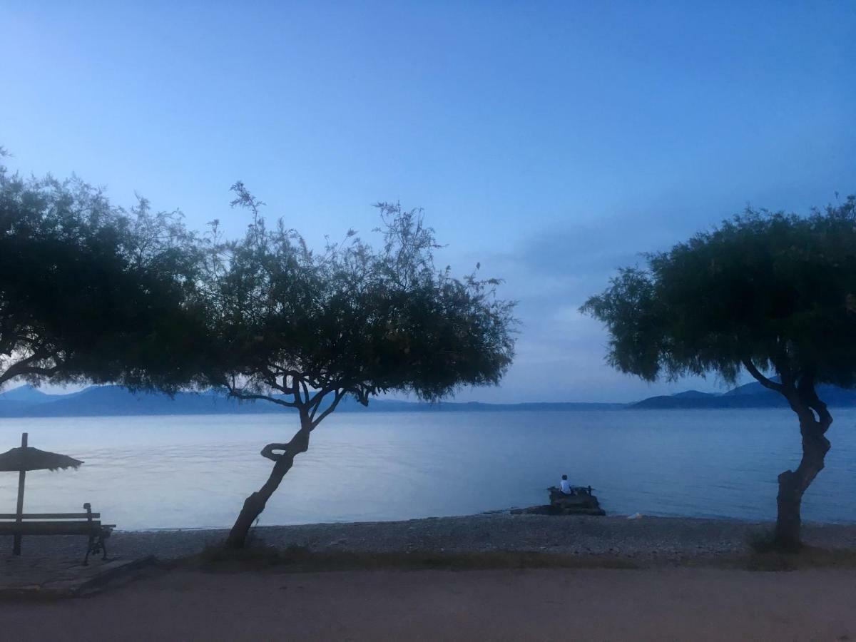 Eratous Seaside House Βίλα Agii Dimitrios ke Panteleimon Εξωτερικό φωτογραφία